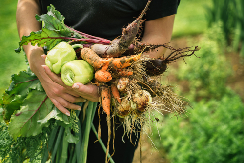 Natural Farming